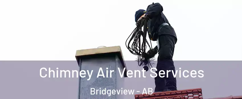  Chimney Air Vent Services Bridgeview - AB