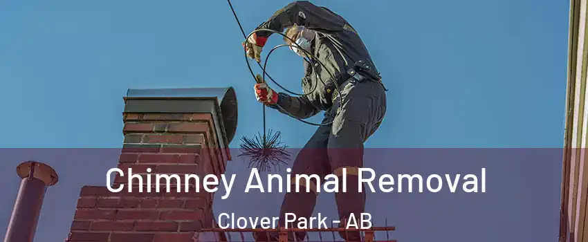  Chimney Animal Removal Clover Park - AB