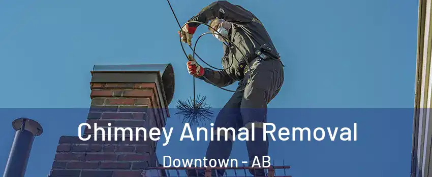  Chimney Animal Removal Downtown - AB