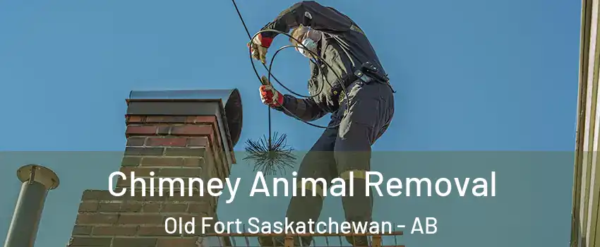  Chimney Animal Removal Old Fort Saskatchewan - AB