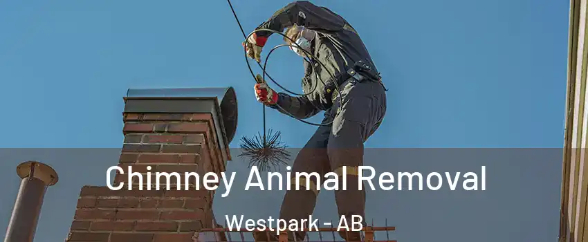  Chimney Animal Removal Westpark - AB