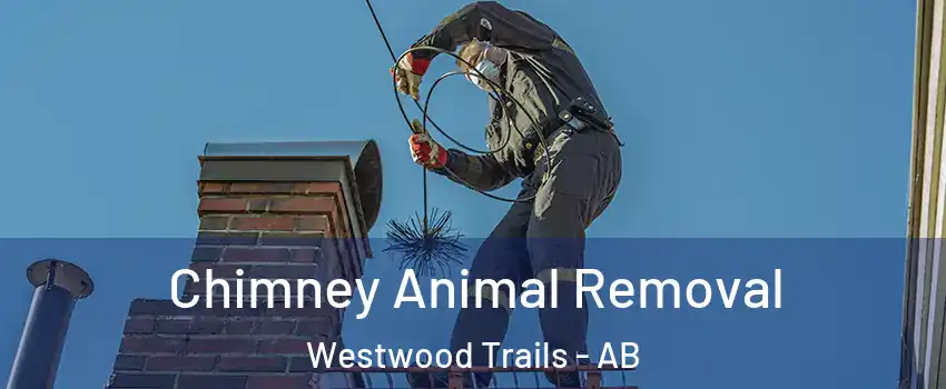  Chimney Animal Removal Westwood Trails - AB