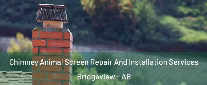  Chimney Animal Screen Repair And Installation Services Bridgeview - AB