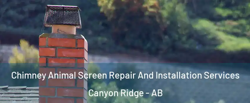  Chimney Animal Screen Repair And Installation Services Canyon Ridge - AB