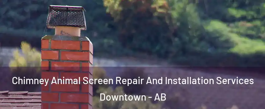  Chimney Animal Screen Repair And Installation Services Downtown - AB