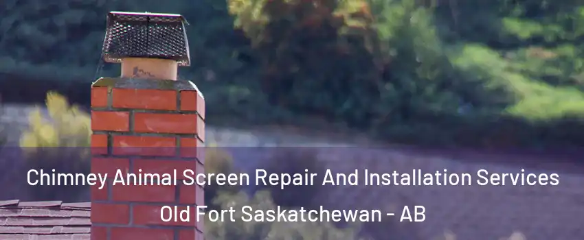  Chimney Animal Screen Repair And Installation Services Old Fort Saskatchewan - AB