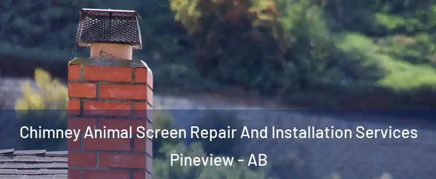  Chimney Animal Screen Repair And Installation Services Pineview - AB