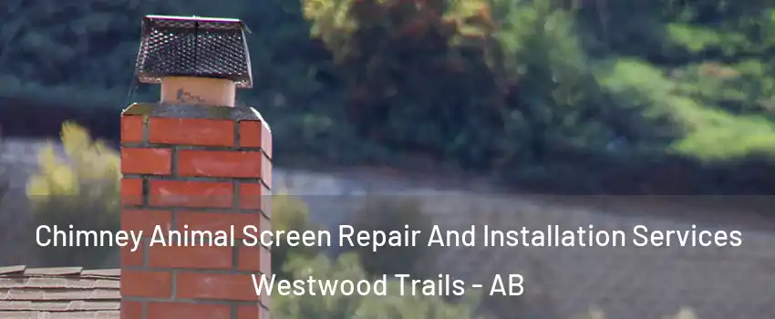  Chimney Animal Screen Repair And Installation Services Westwood Trails - AB