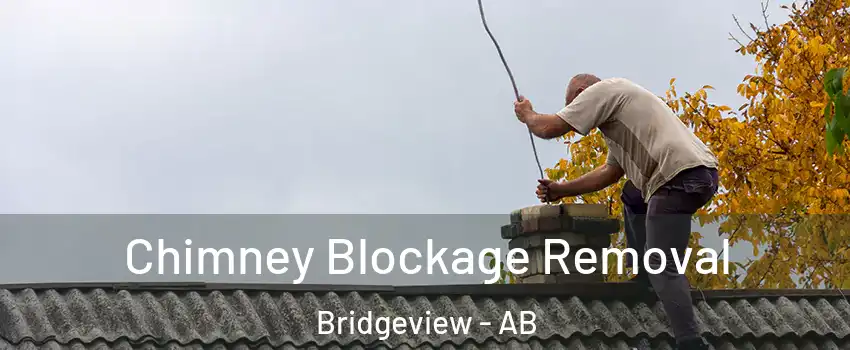  Chimney Blockage Removal Bridgeview - AB
