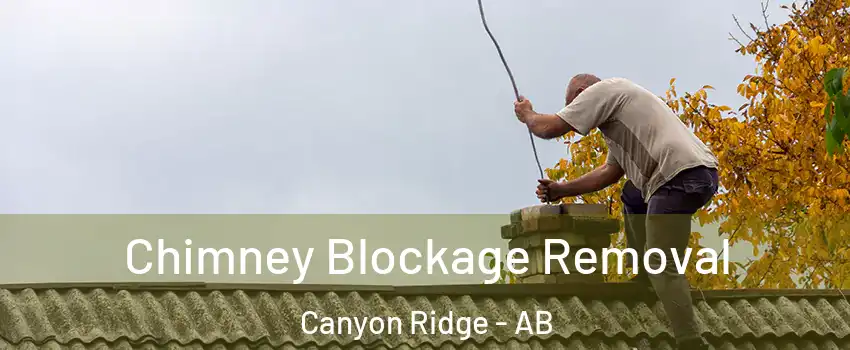  Chimney Blockage Removal Canyon Ridge - AB