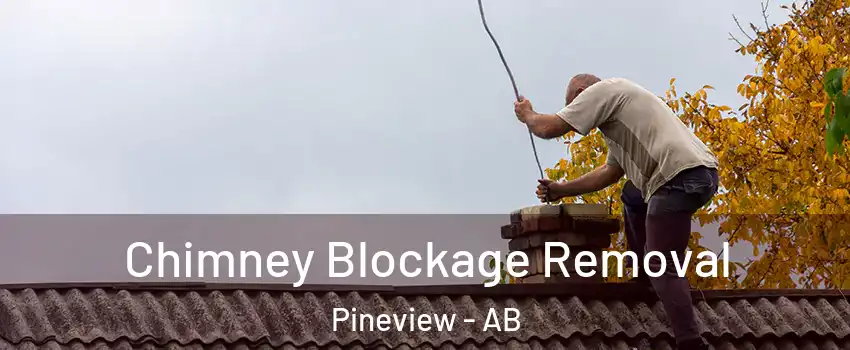  Chimney Blockage Removal Pineview - AB