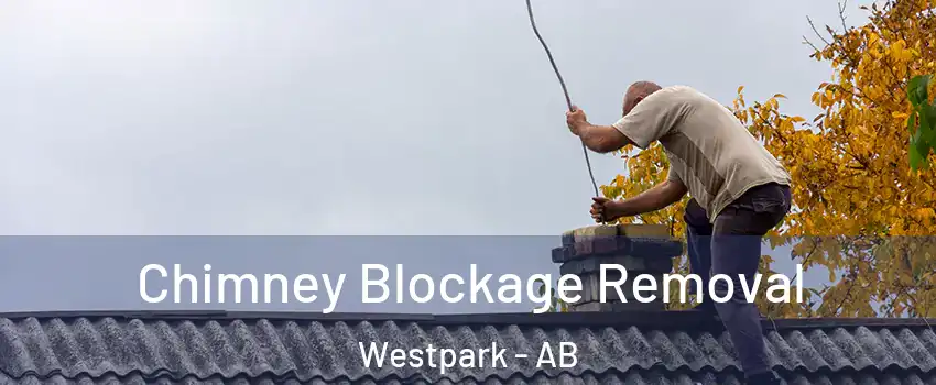  Chimney Blockage Removal Westpark - AB