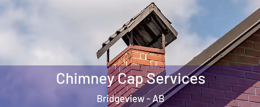  Chimney Cap Services Bridgeview - AB