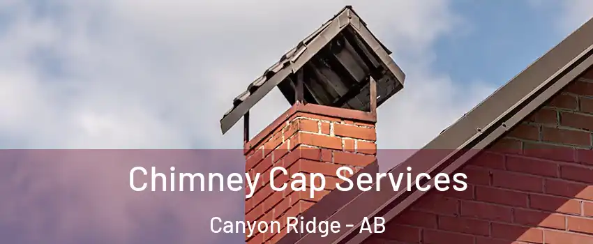  Chimney Cap Services Canyon Ridge - AB