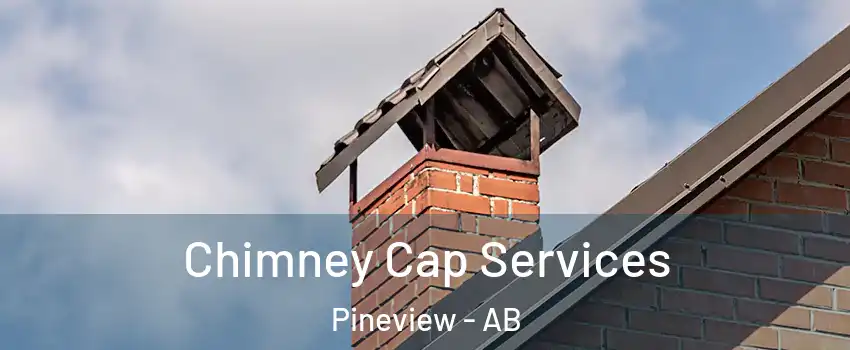  Chimney Cap Services Pineview - AB