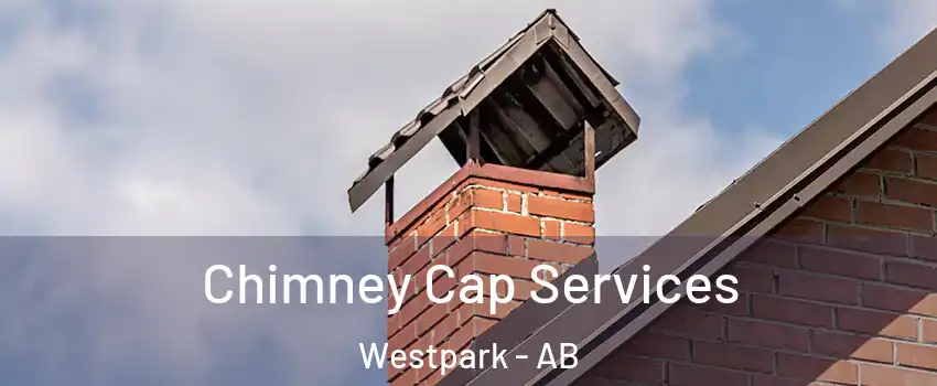  Chimney Cap Services Westpark - AB