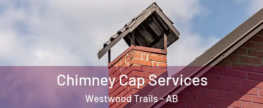  Chimney Cap Services Westwood Trails - AB