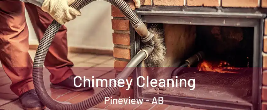  Chimney Cleaning Pineview - AB