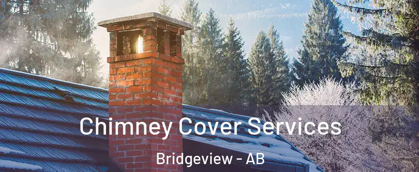  Chimney Cover Services Bridgeview - AB