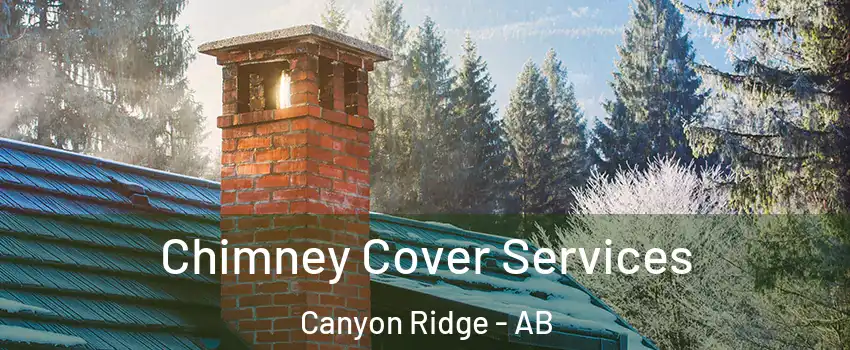  Chimney Cover Services Canyon Ridge - AB