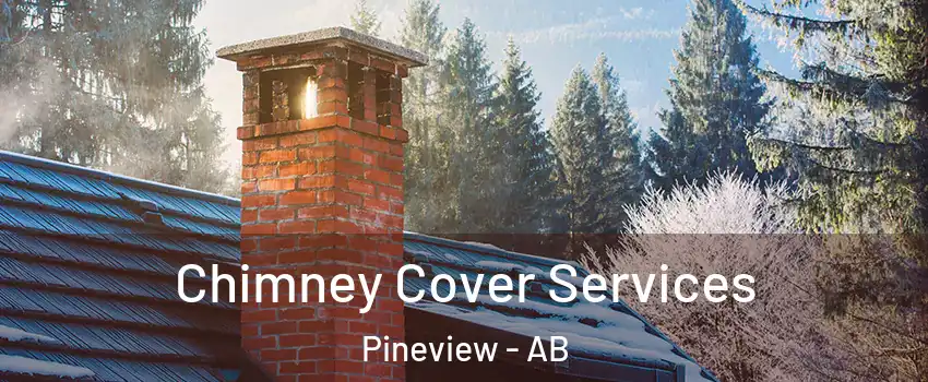  Chimney Cover Services Pineview - AB