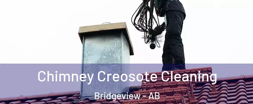  Chimney Creosote Cleaning Bridgeview - AB