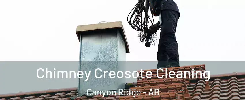  Chimney Creosote Cleaning Canyon Ridge - AB