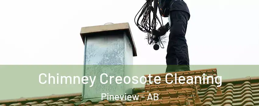  Chimney Creosote Cleaning Pineview - AB