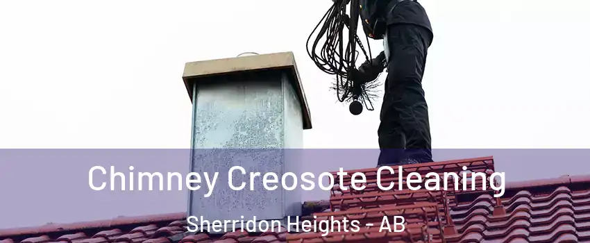  Chimney Creosote Cleaning Sherridon Heights - AB