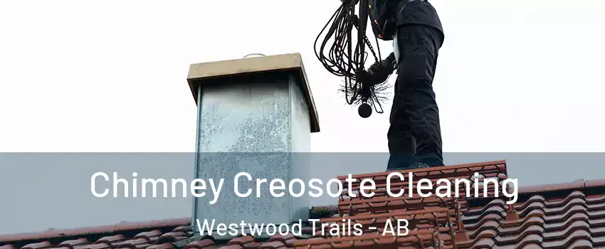  Chimney Creosote Cleaning Westwood Trails - AB