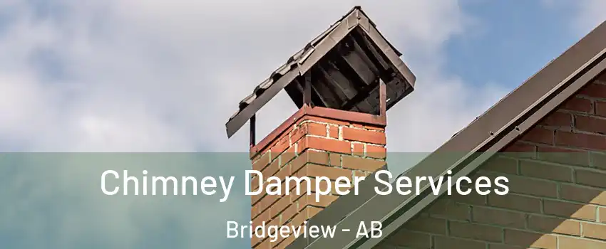  Chimney Damper Services Bridgeview - AB