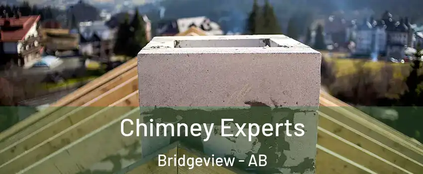  Chimney Experts Bridgeview - AB