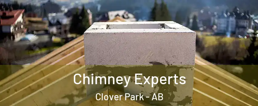  Chimney Experts Clover Park - AB