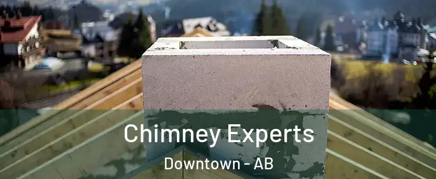  Chimney Experts Downtown - AB