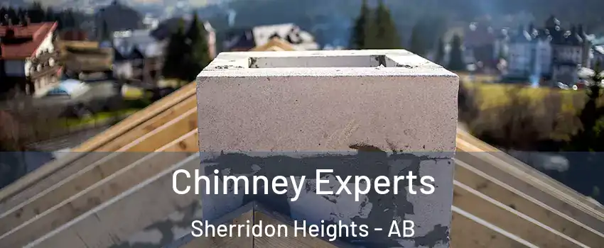  Chimney Experts Sherridon Heights - AB