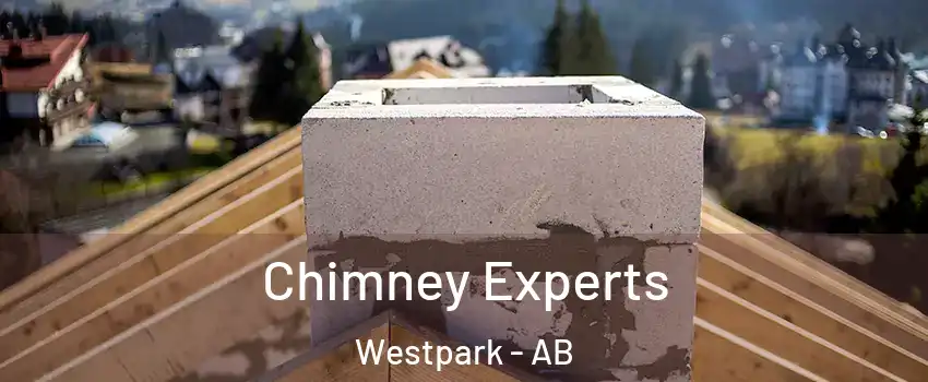  Chimney Experts Westpark - AB