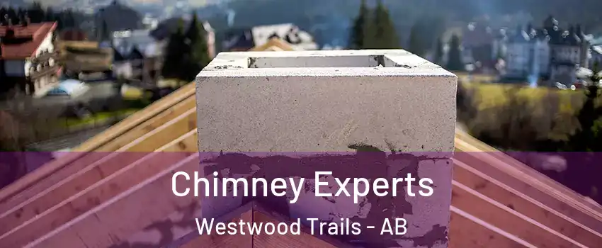  Chimney Experts Westwood Trails - AB