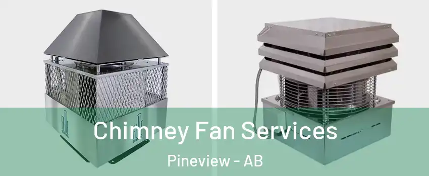  Chimney Fan Services Pineview - AB