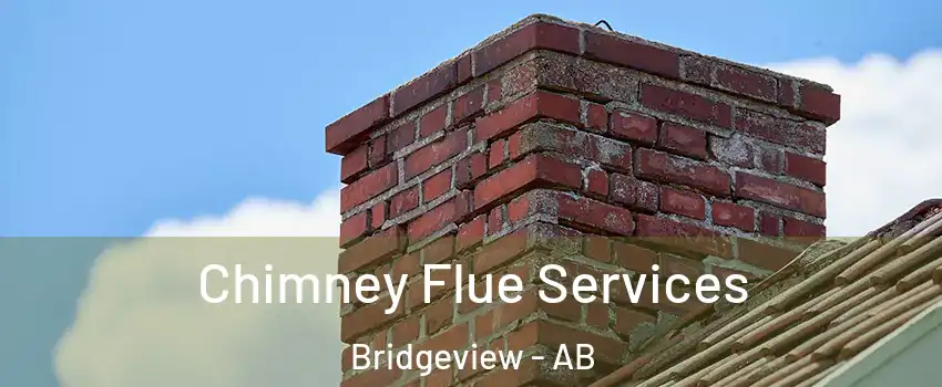  Chimney Flue Services Bridgeview - AB