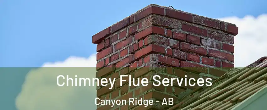  Chimney Flue Services Canyon Ridge - AB