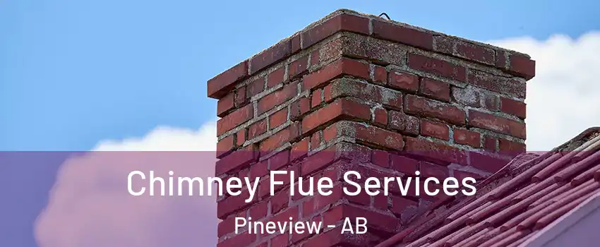  Chimney Flue Services Pineview - AB