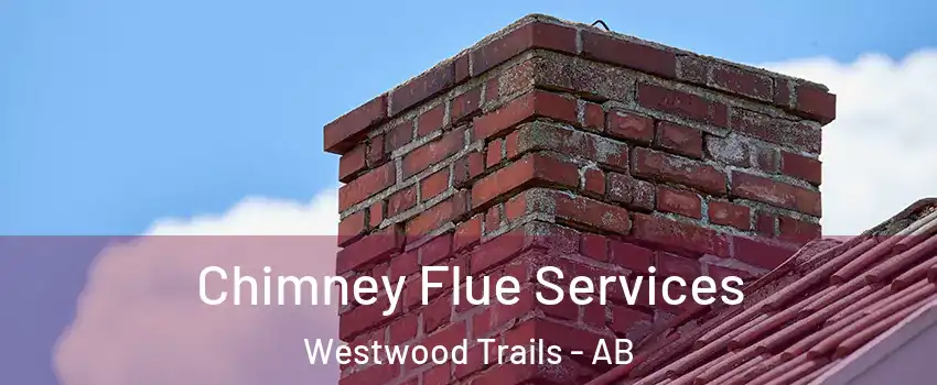  Chimney Flue Services Westwood Trails - AB