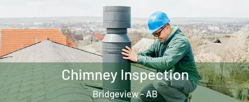  Chimney Inspection Bridgeview - AB