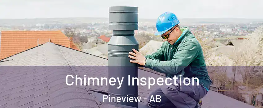  Chimney Inspection Pineview - AB