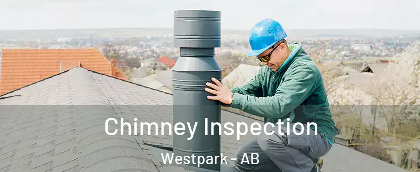 Chimney Inspection Westpark - AB