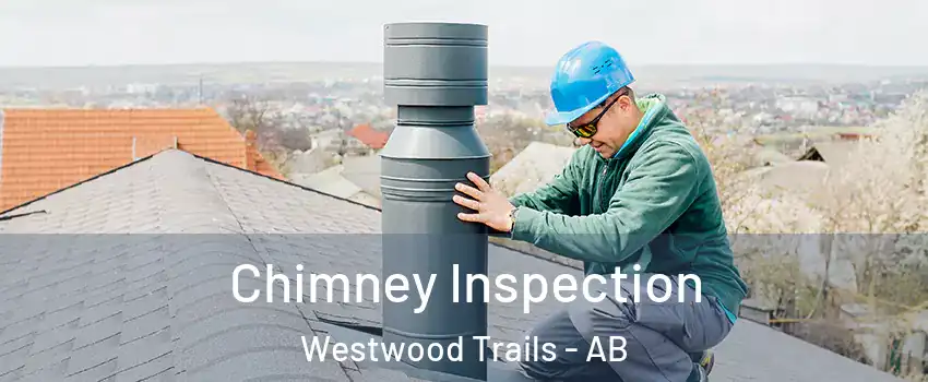  Chimney Inspection Westwood Trails - AB