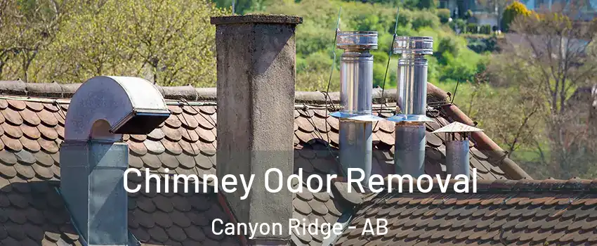  Chimney Odor Removal Canyon Ridge - AB