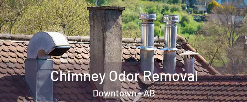  Chimney Odor Removal Downtown - AB