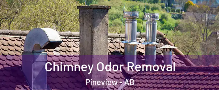 Chimney Odor Removal Pineview - AB