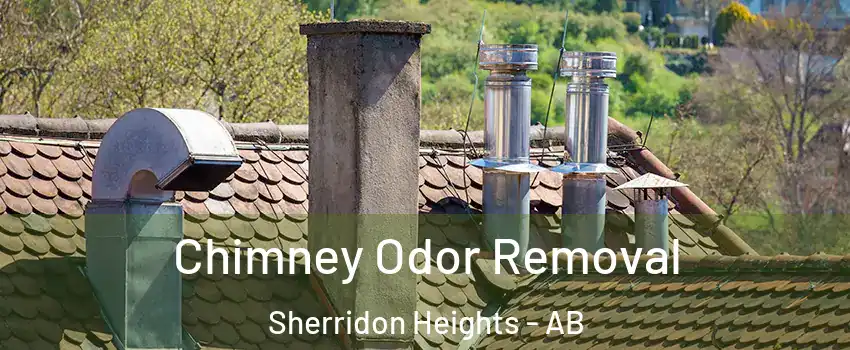  Chimney Odor Removal Sherridon Heights - AB